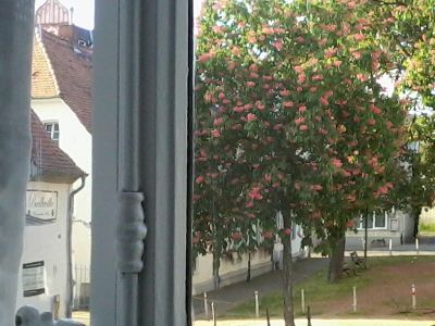 Ansicht 5