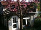 Wolf Gäste-Apartments Weiterstadt in Weiterstadt-Gräfenhausen